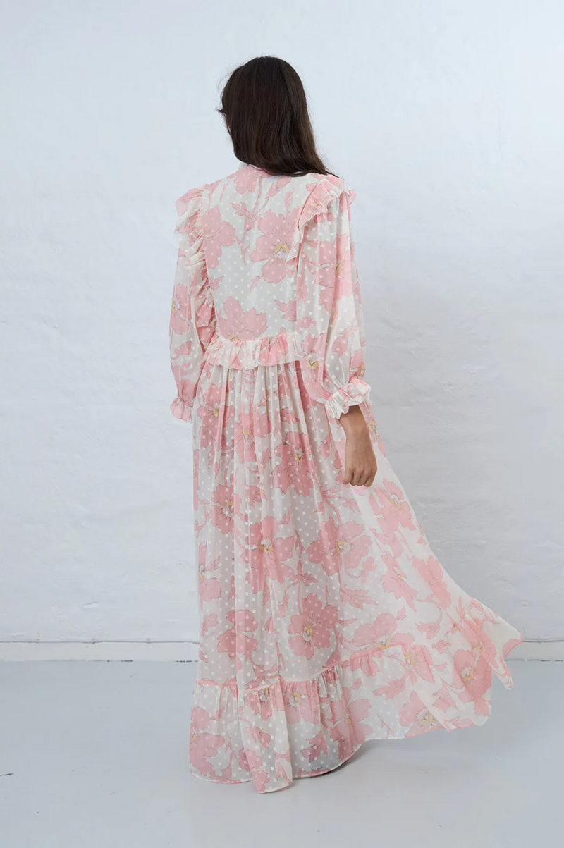 Stella Nova Maxi Chiffon Printed Soft Pink Dress