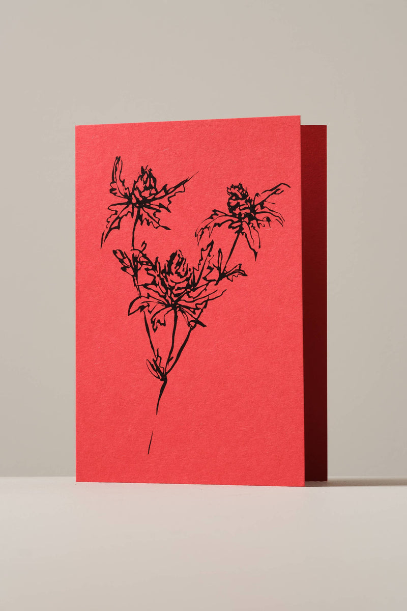 Atelier Auge Thistle Greeting Card