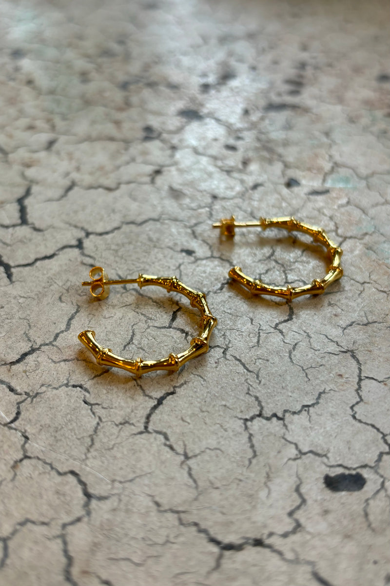 Mundy Bamboo Hoop Gold Earrings