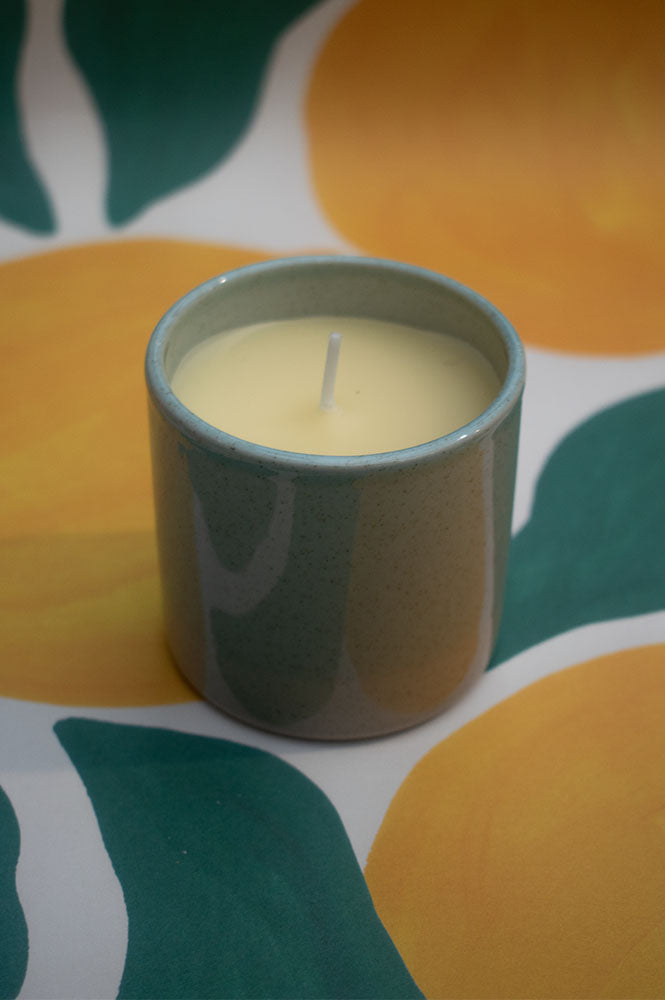 St. Eval Sea & Shore Wild Gorse Ceramic Candle